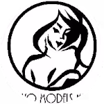 VR Porn Partner - Bravomodelsmedia VR Porn Logo