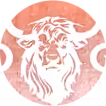 MaximoGarcia VR Porn